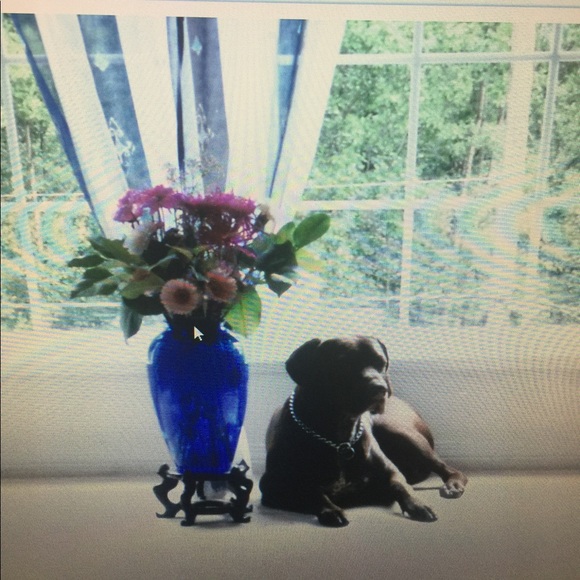 Meet your Posher, Halina - Picture 5 of 16